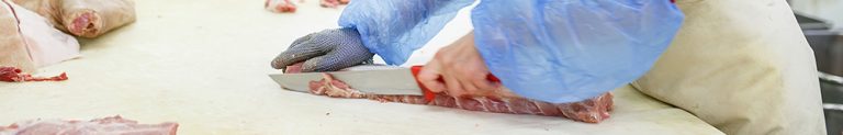Worker Safety Induction Pilot