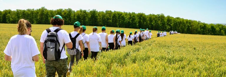 Career Pathways for Agricultural Trades