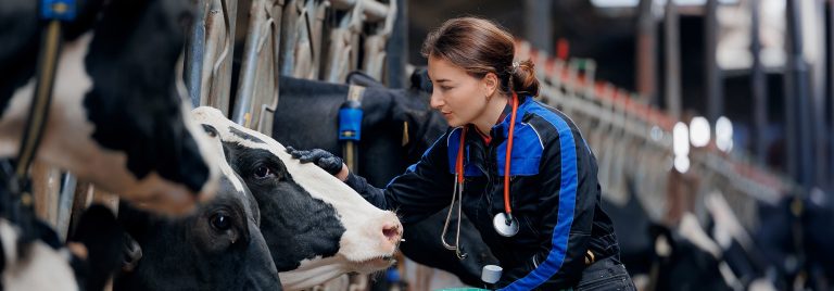Veterinary Nursing Review